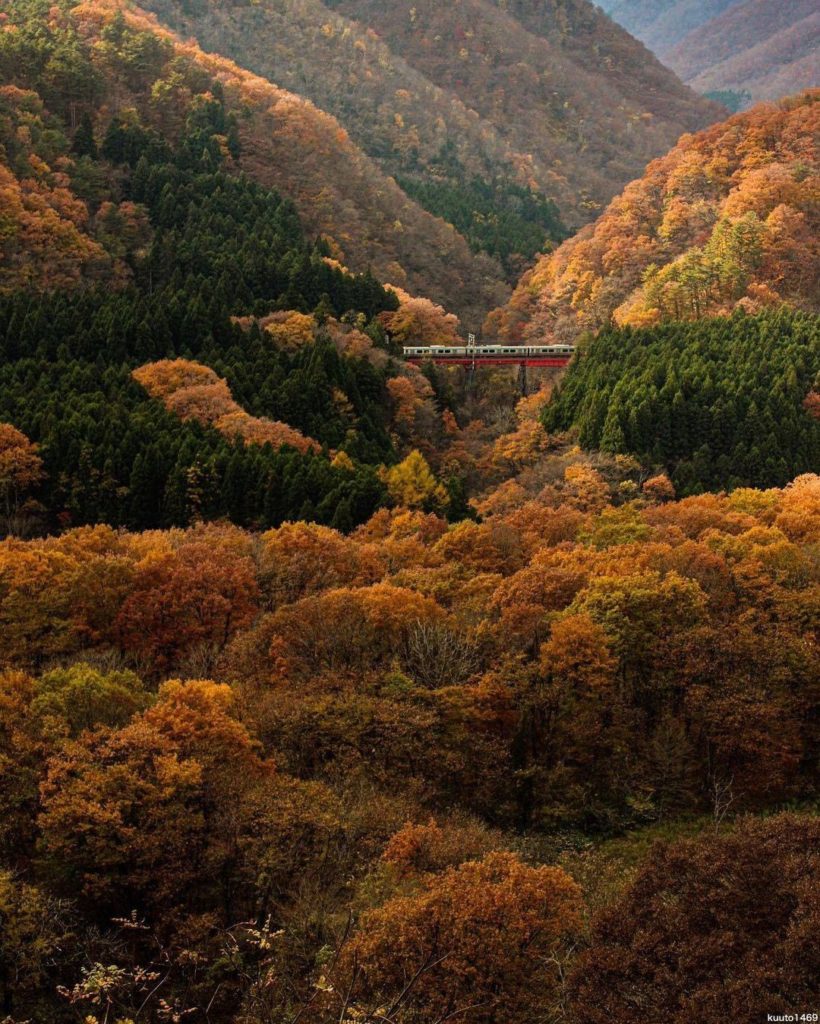 Visit Japan: Talk about timing! This perfectly timed shot captured by @kuuto1469 features a t… Talk about timing! This perfectly timed shot captured by @kuuto1469 features a t...