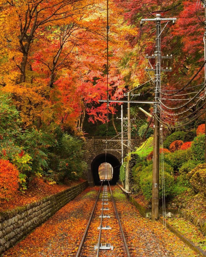 Visit Japan: Do you know where this stunning tunnel leads to?
Just 50 minutes from Tokyo, Mt… Do you know where this stunning tunnel leads to?
Just 50 minutes from Tokyo, Mt...