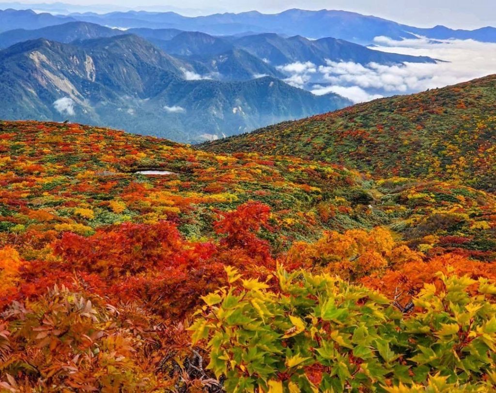 We've never seen an autumn scene quite like this gorgeous spot at Mt. Kurikoma s...