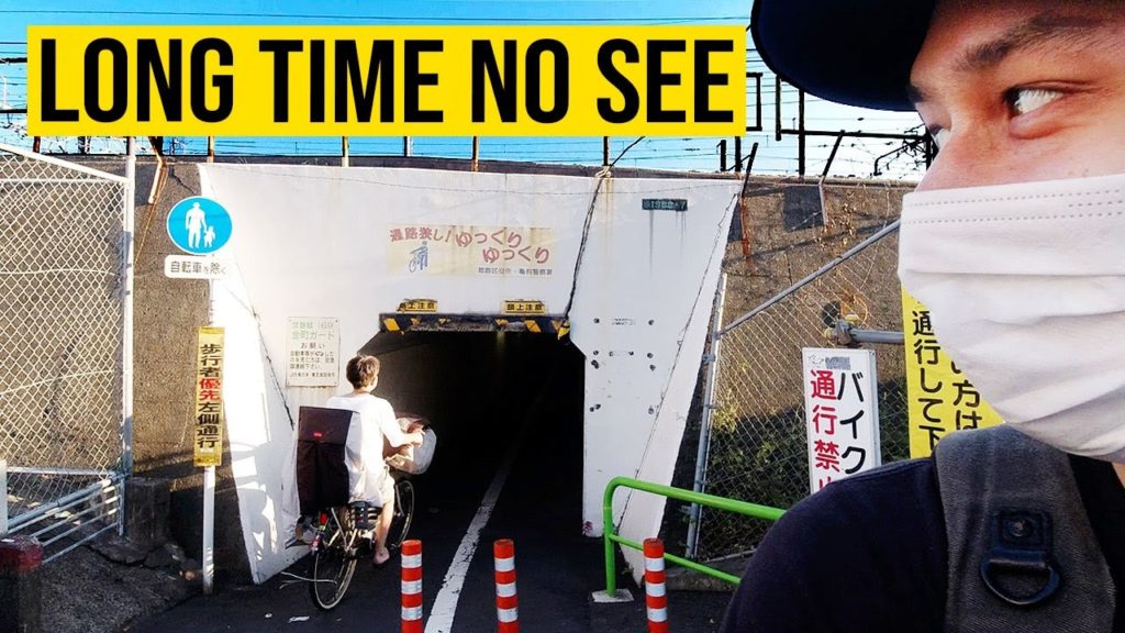 Many Cats, Cool Homes, and a 300 Year Old Tree | JAPAN WALKING TOURS 2020