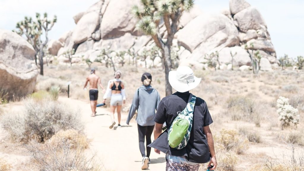 waking up || Joshua Tree 2020 w/Fujifilm x100v waking up || Joshua Tree 2020 w/Fujifilm x100v