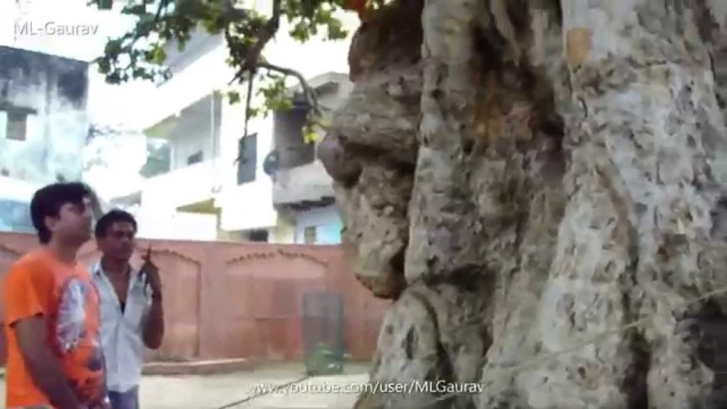 Krishna And Kaliya Naag Place, Real Story (Kaliya Ghat) Vrindavan Krishna And Kaliya Naag Place, Real Story (Kaliya Ghat) Vrindavan