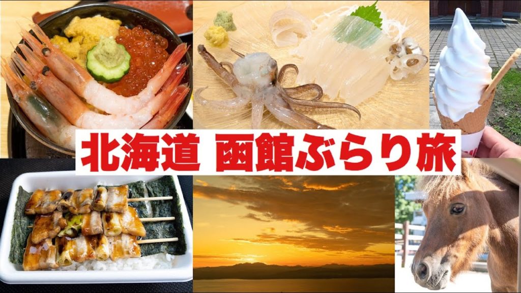 【北海道 函館 ぶらり旅!】2泊3日で夏の函館を満喫。函館山・活イカ刺・海鮮丼・ラッキーピエロ・やきとり弁当・函館公園・立待岬・朝食バイキング×2など【4K】 【北海道 函館 ぶらり旅!】2泊3日で夏の函館を満喫。函館山・活イカ刺・海鮮丼・ラッキーピエロ・やきとり弁当・函館公園・立待岬・朝食バイキング×2など【4K】