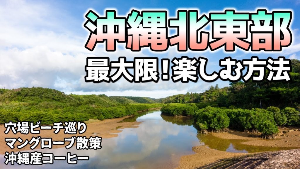 【沖縄旅行】穴場ビーチ巡りとマングローブ散策!貴重な沖縄産コーヒーも!沖縄北東部の楽しみ方 【沖縄旅行】穴場ビーチ巡りとマングローブ散策!貴重な沖縄産コーヒーも!沖縄北東部の楽しみ方