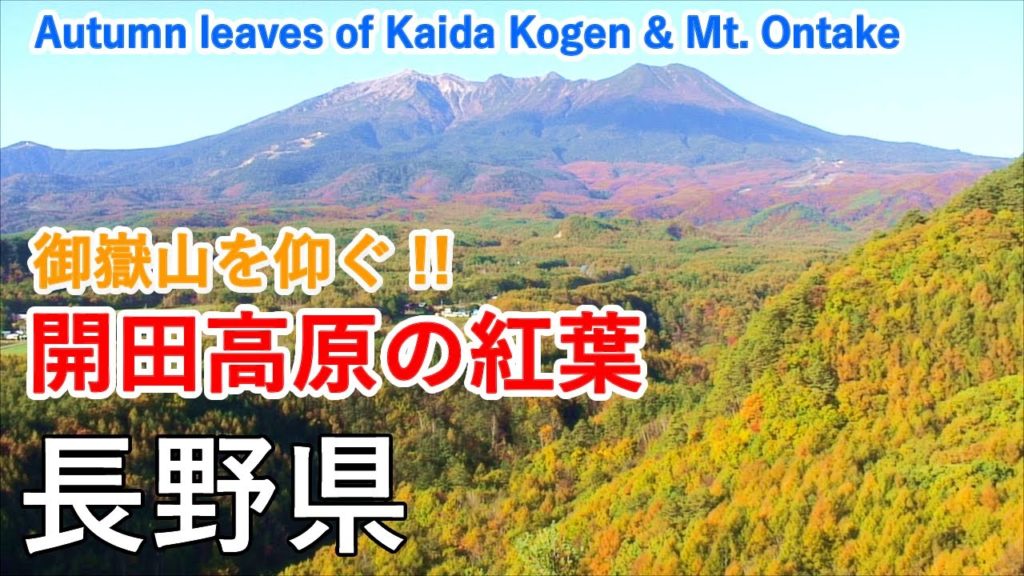 長野県 開田高原の紅葉 & 御嶽パノラマライン / Autumn leaves of Kaida Kogen and Mt. Ontake ( Nagano , Japan )【日本の紅葉絶景!】 長野県 開田高原の紅葉 & 御嶽パノラマライン / Autumn leaves of Kaida Kogen and Mt. Ontake ( Nagano , Japan )【日本の紅葉絶景!】