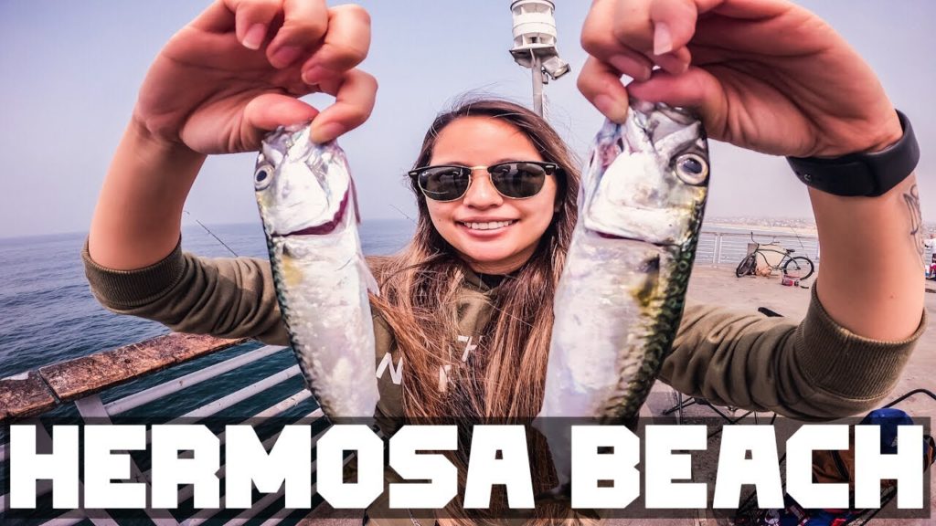 HERMOSA BEACH PIER | AFTER FISHING PARTY HERMOSA BEACH PIER | AFTER FISHING PARTY