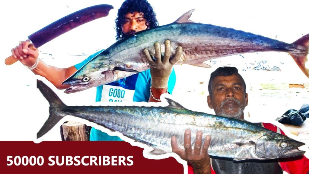Seer Fish Cutting By Mr.Ravi And Mr.Suresh | Fish Cutting Skills Seer Fish Cutting By Mr.Ravi And Mr.Suresh | Fish Cutting Skills