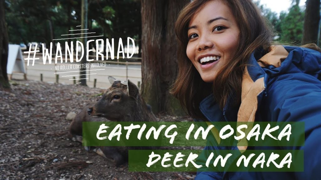 JAPAN TRAVEL VLOG: Osaka and Deer in Nara JAPAN TRAVEL VLOG: Osaka and Deer in Nara