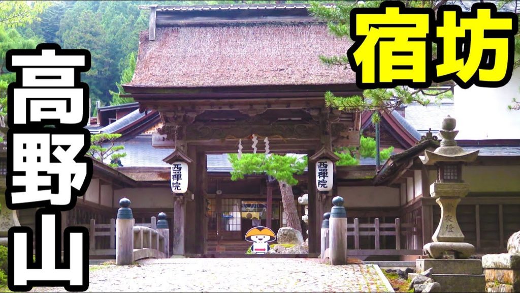 【リセット旅】高野山の宿坊（西禅院）に宿泊したので、雰囲気を地元和歌山県民がシンプルに紹介するよ！自分を見つめ直す、素晴らしい時間を頂けました！