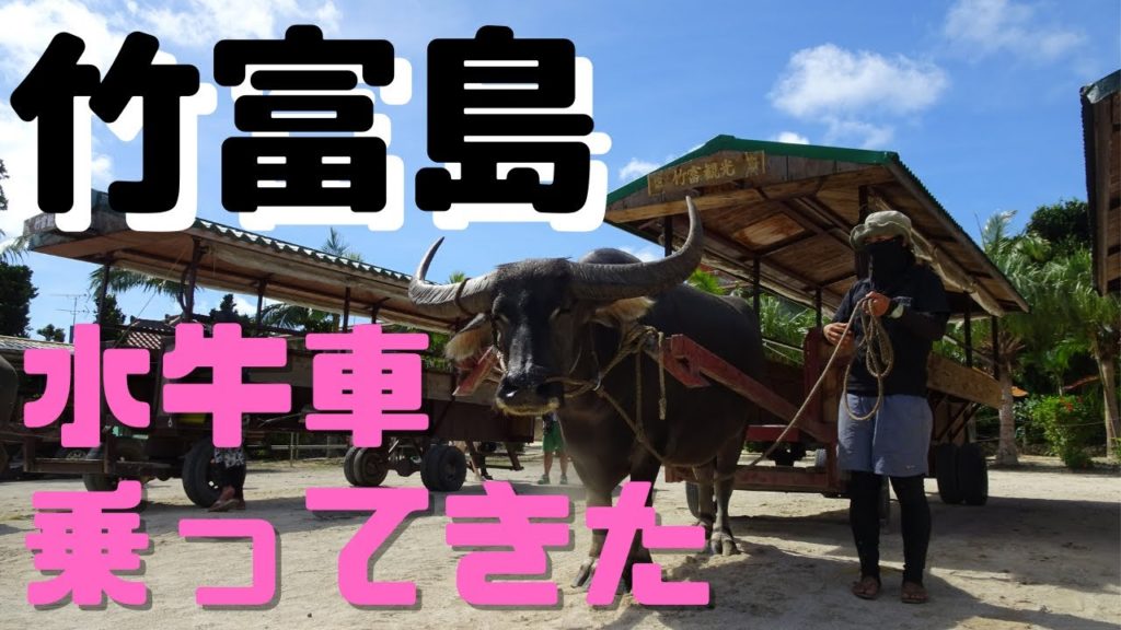 【旅VLOG】竹富島で水牛車にゆられて八重山そばを喰らう編。石垣島旅行#2 【旅VLOG】竹富島で水牛車にゆられて八重山そばを喰らう編。石垣島旅行#2