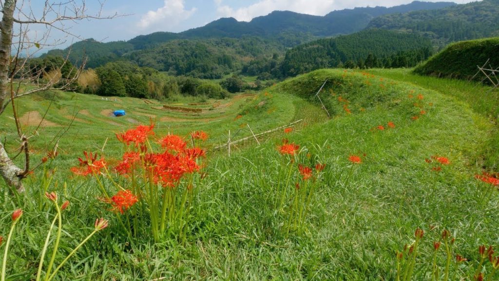 A Cycle Tour in Chiba, Japan