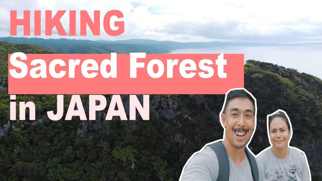 Paradise for Hiking - Fun Things To Do in Japan | Okinawa Japan Travel Guide - Vlog #26