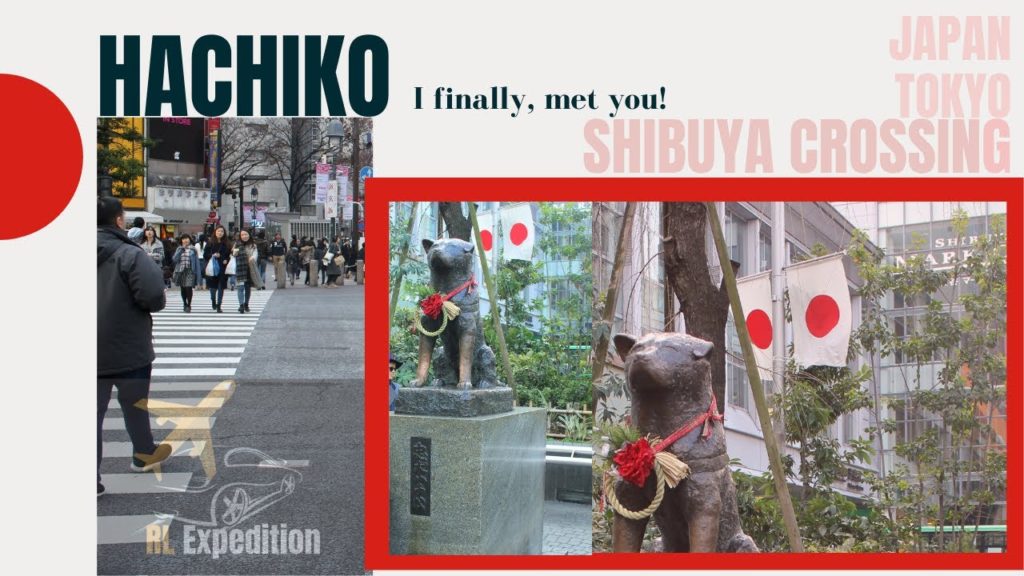 Finding Hachiko in Winter (Tokyo, Japan)