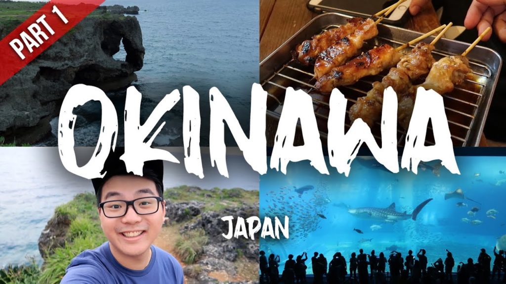 OKINAWA 沖縄 🇯🇵 | JAPAN TRAVEL VLOG [PART 1] Kokusai-Dori | Churaumi Aquarium | Kouri Island