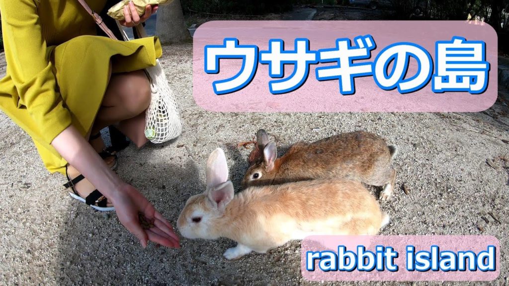 うさぎの島　忠海港～大久野島　癒し動画　Hiroshima Ohkunoshima (rabbit island)