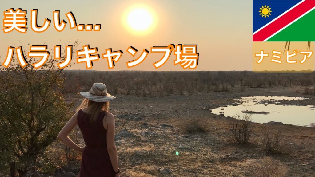 【Namibia】The best waterhole in Etosha - Halali Campsite【Day 8】｜エトーシャ国立公園、ハラリキャンプ