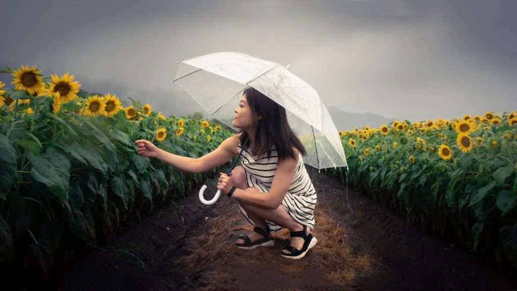 Akita | It Always Felt Like Goodbye