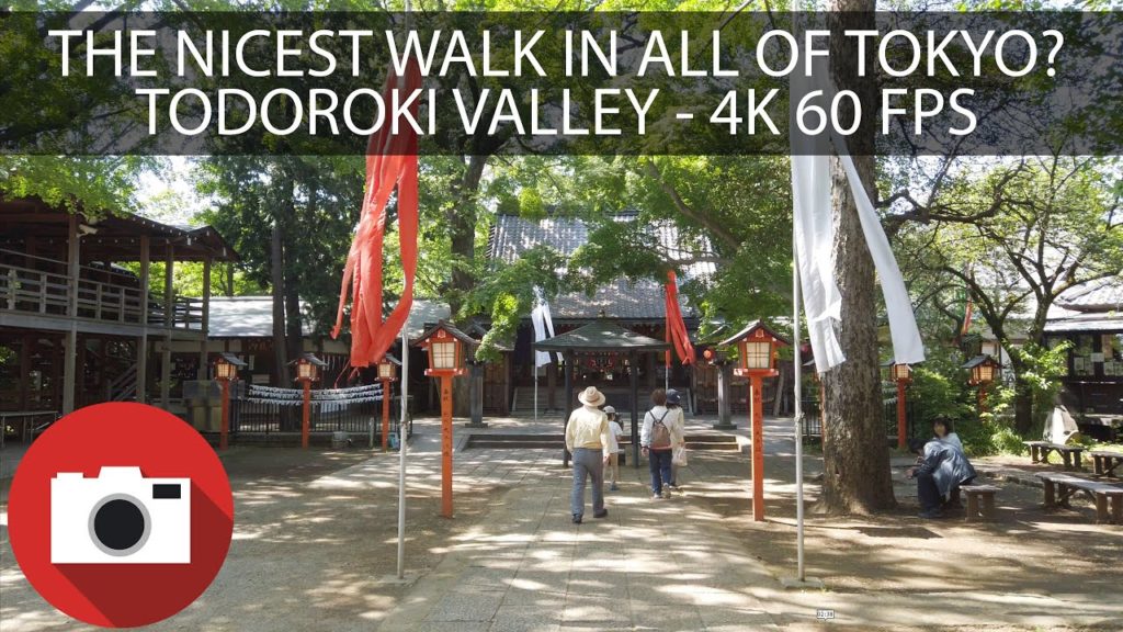 Walking in Tokyo - Todoroki Valley & Temple - Slow TV - 4K 60 FPS