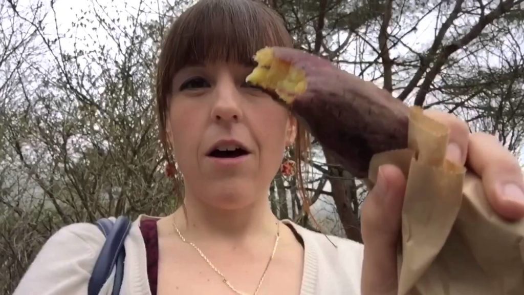 Japan Golden Week (Day 5) Fuji Shibazakura Festival (Mount Fuji) Japan Golden Week (Day 5) Fuji Shibazakura Festival (Mount Fuji)