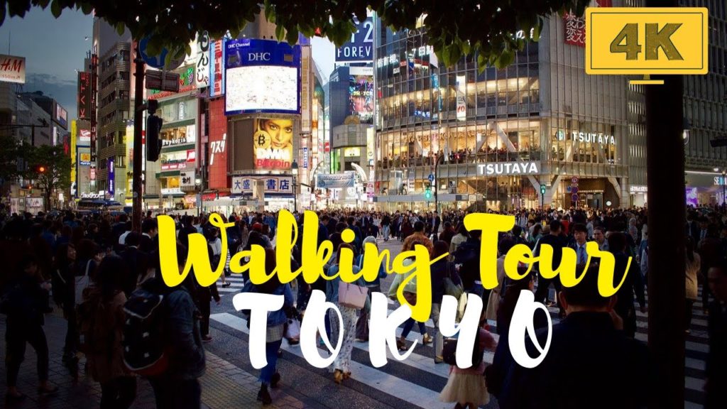 Travel Destination Walking in Tokyo 4K | night and drone view Travel Destination Walking in Tokyo 4K | night and drone view