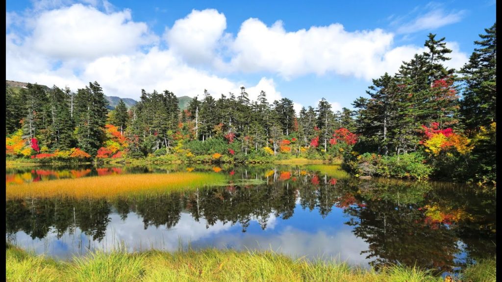 JG☆☆☆☆☆8K HDR 北海道 カムイの遊ぶ庭 大雪高原沼の紅葉と水鏡の絶景 Hokkaido,Daisetukogen,Ponds and Autumn Leaves Trekking