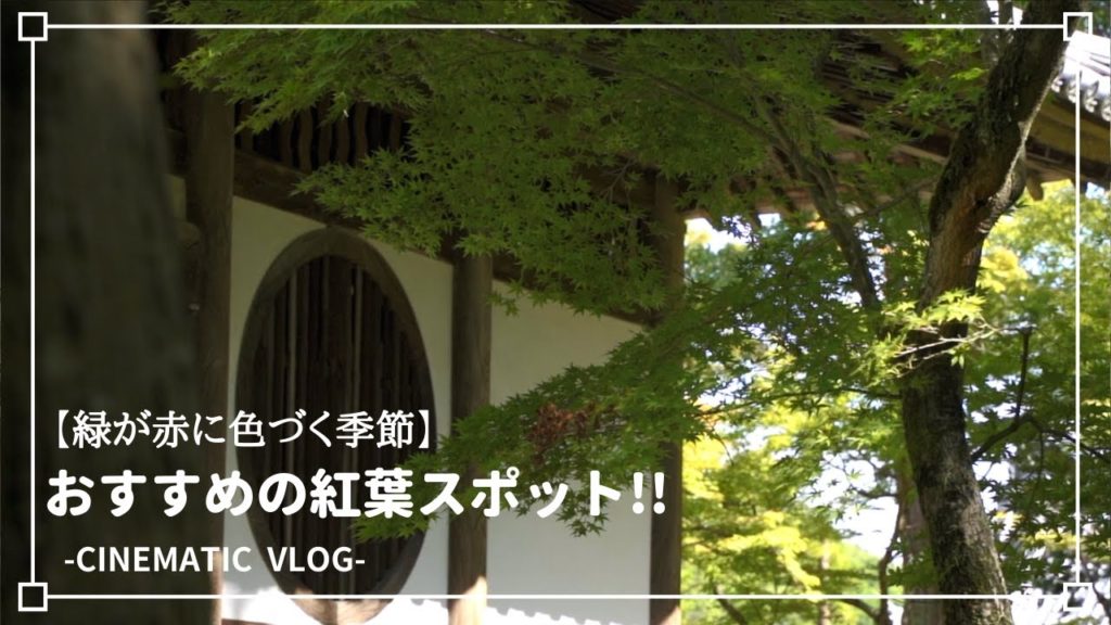 【紅葉の季節】おすすめのスポット3選!をシネマティックに紹介。| Autumn leaves in Japan | 【ドローン撮影】 【紅葉の季節】おすすめのスポット3選!をシネマティックに紹介。| Autumn leaves in Japan | 【ドローン撮影】