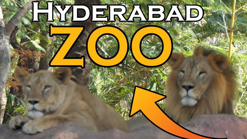 Nehru Zoological Park, Hyderabad Zoo, India in 4k ultra HD