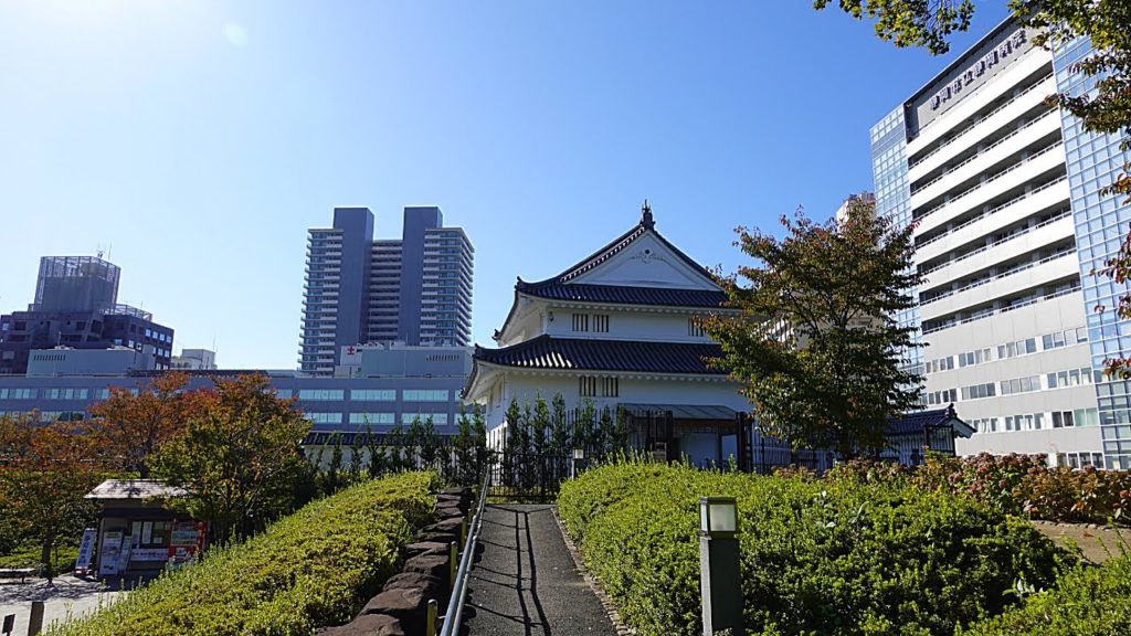 Shizuoka - castle park - Japan