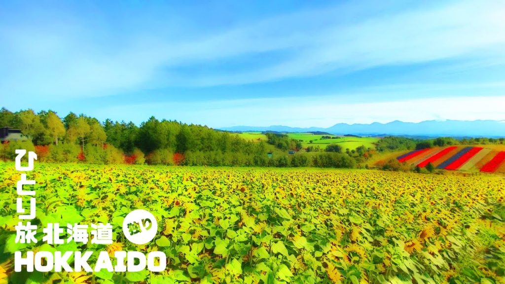 【観光メイン】本気で北海道ひとり旅　Hokkaido Traveling alone