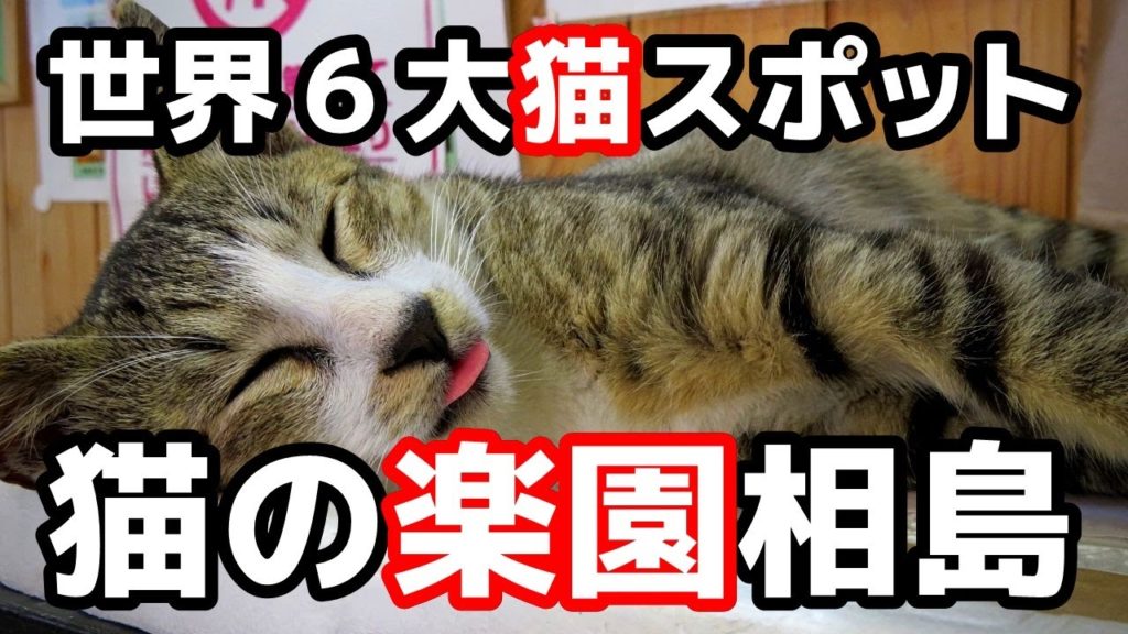 【福岡・相島】猫好きな旅好きが猫動画を作るとこうなる／猫の島へのアクセス｜島の駅紹介｜九州離島｜世界６大猫スポット／Fukuoka Cat Island Ainoshima