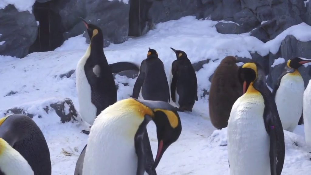 SORATABI LIFE Hokkaido Tour♪