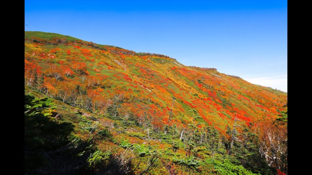 JG☆☆☆☆☆8K HDR 北海道 大雪山赤岳 紅葉のパノラマ絶景をじっくり味わう Hokkaido,Daisetsuzan Akadake in Autumn