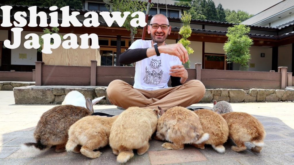 Ishikawa, Japan |  Bunnies, Forests & a Big Hot Dog