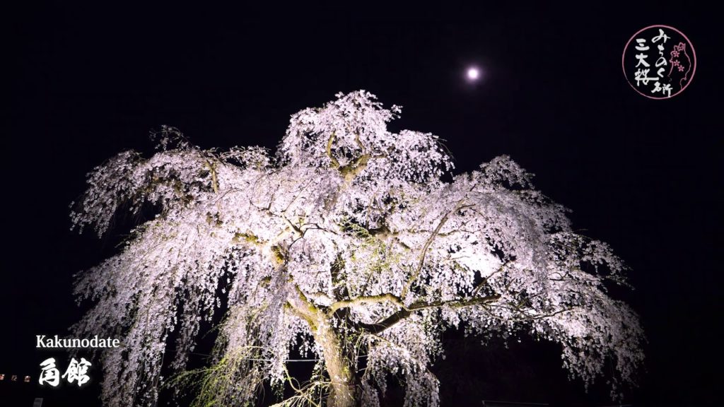 Top 3 Cherry Blossom Spots in Tohoku Top 3 Cherry Blossom Spots in Tohoku