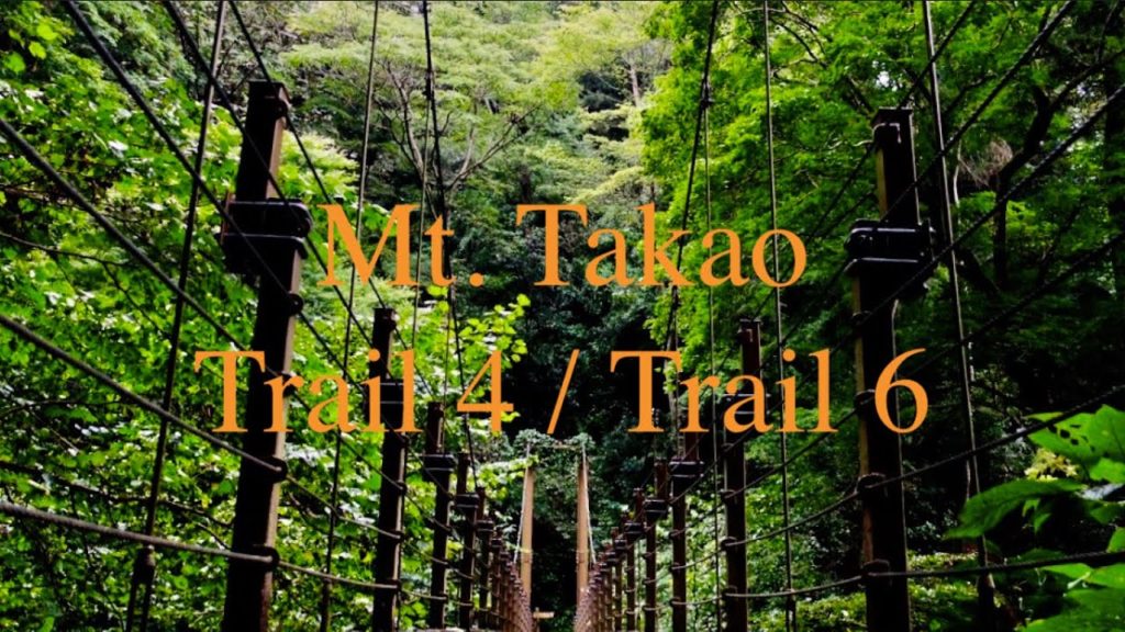 [WALK ALONE#5] 高尾山/Mt. Takao Tokyo