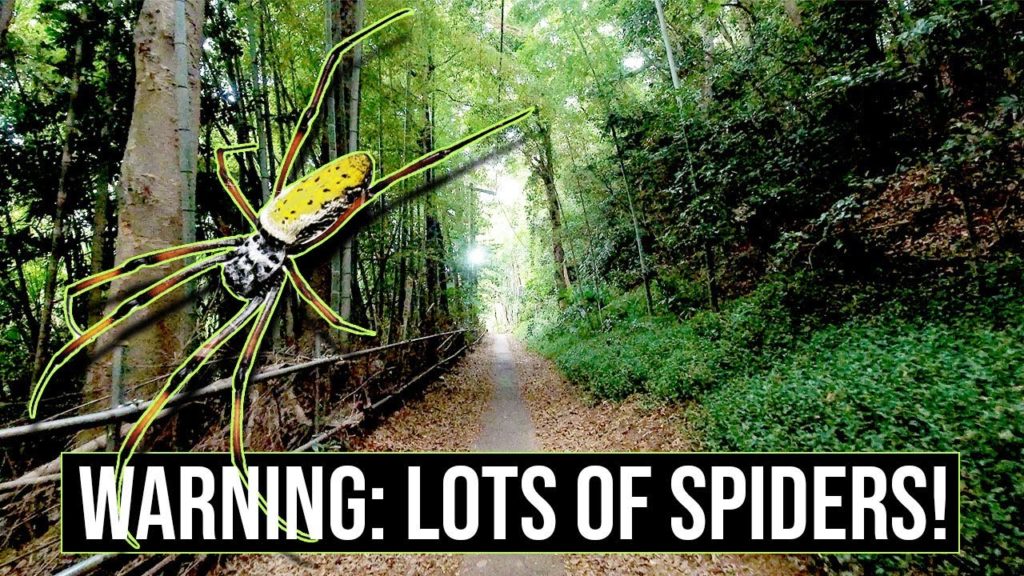 Nature Walk, Abandoned Homes, and TONS of Spiders!!! | JAPAN WALKING TOURS 2020