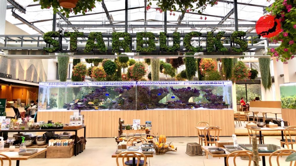 #Starbucks in a #Greenhouse, Hana Biyori Botanical Garden, Tokyo, #Japan