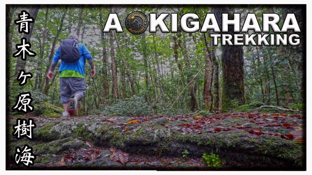 Trekking Through Aokigahara Forest (Jukai) Trekking Through Aokigahara Forest (Jukai)