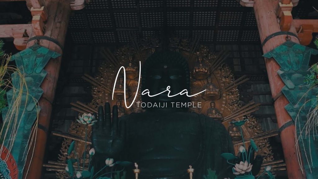 CINEMATIC TRAVEL VLOG: Japan - Todai-ji Temple Nara (Part 2)