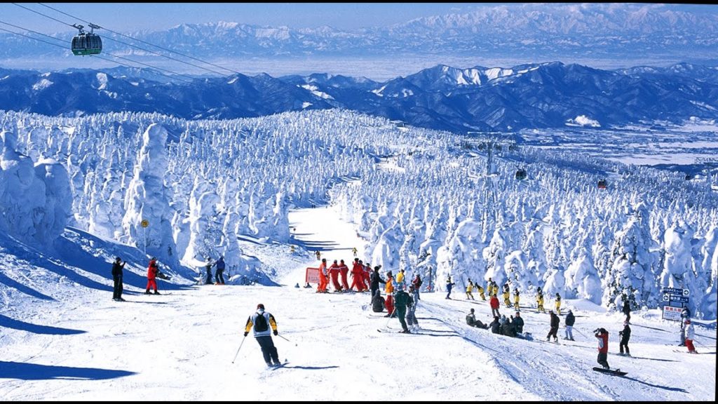 Visit TOHOKU 、this area will be on Sakura  from 6pm Australia & 8pm NZ. Watch us at sakuratv.com