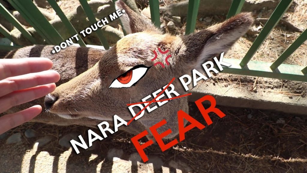 Japan Vlog #9 - GETTING ATTACKED BY DEER