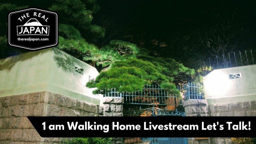Walking Home 1am After a Great Night Out in Sakai, Osaka. Let's Talk! | The Real Japan | HD