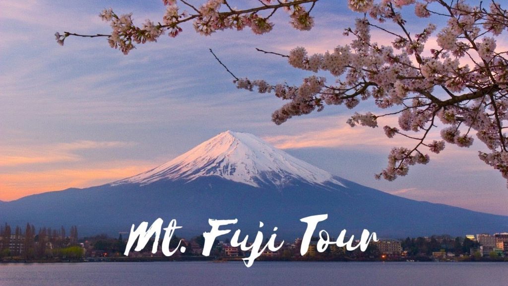 S1:E2 DAY TRIP TO MT. FUJI | Japan Travel Vlog 2019