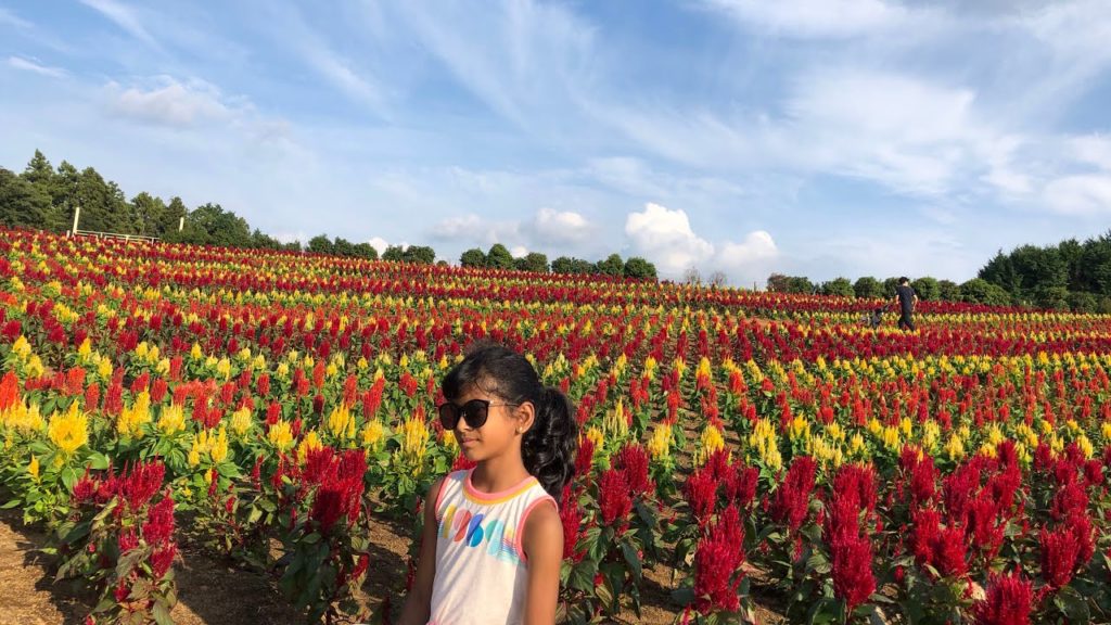 Trip to German village, Chiba