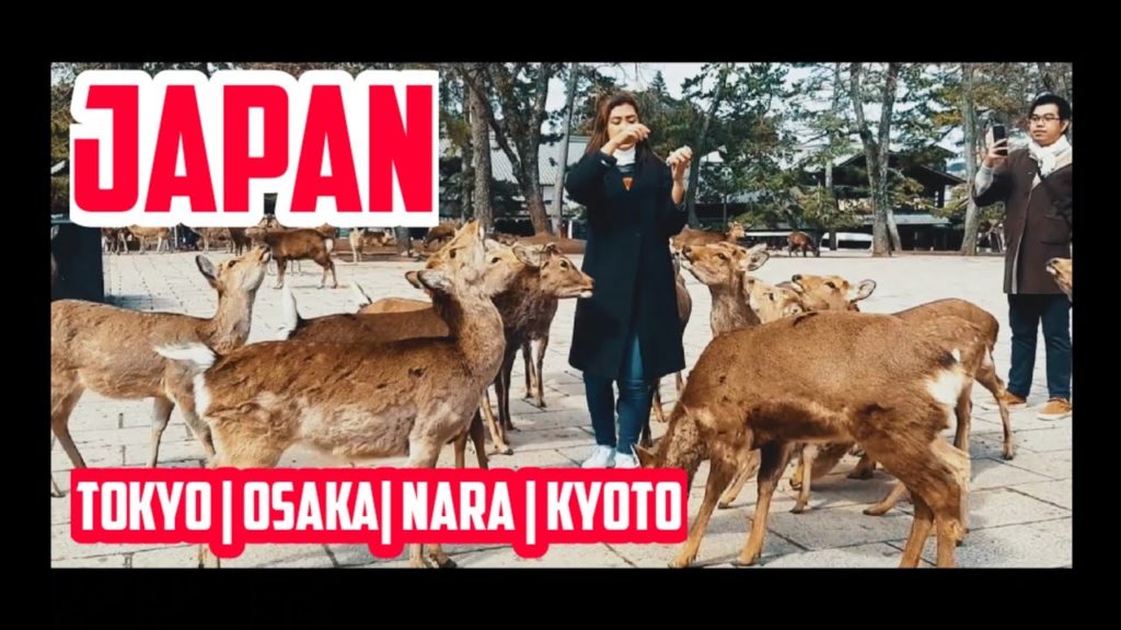 J A P AN  | CINEMATIC TRAVEL VIDEO