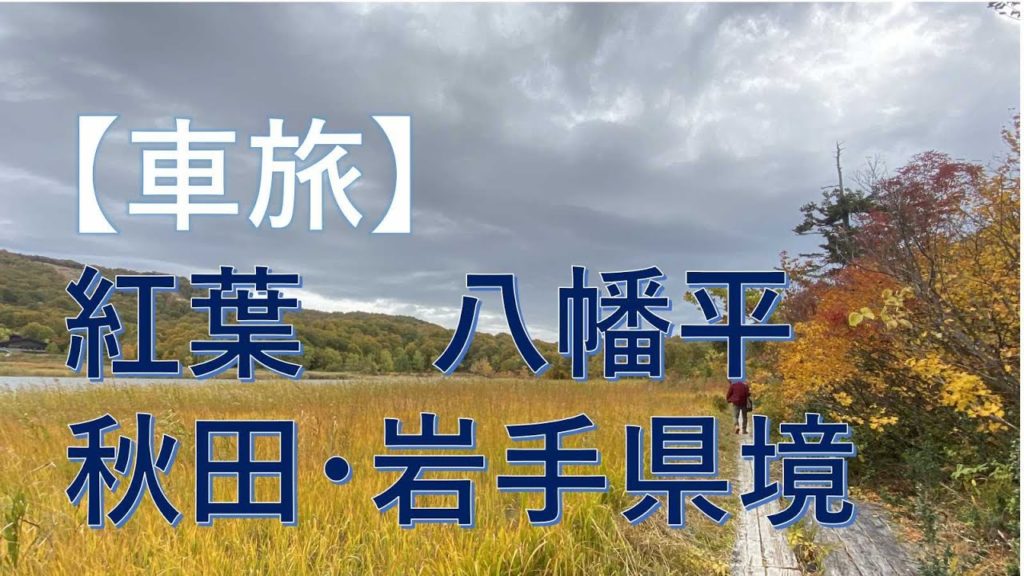 【車旅】紅葉、八幡平・大館　アスピーテライン　【みちのくドライブ観光】　秋田・岩手北　[Car trip] Autumn leaves, Hachimantai /