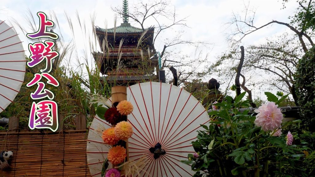 TOKYO. Ueno Park 2020 Autumn. #4K #上野公園