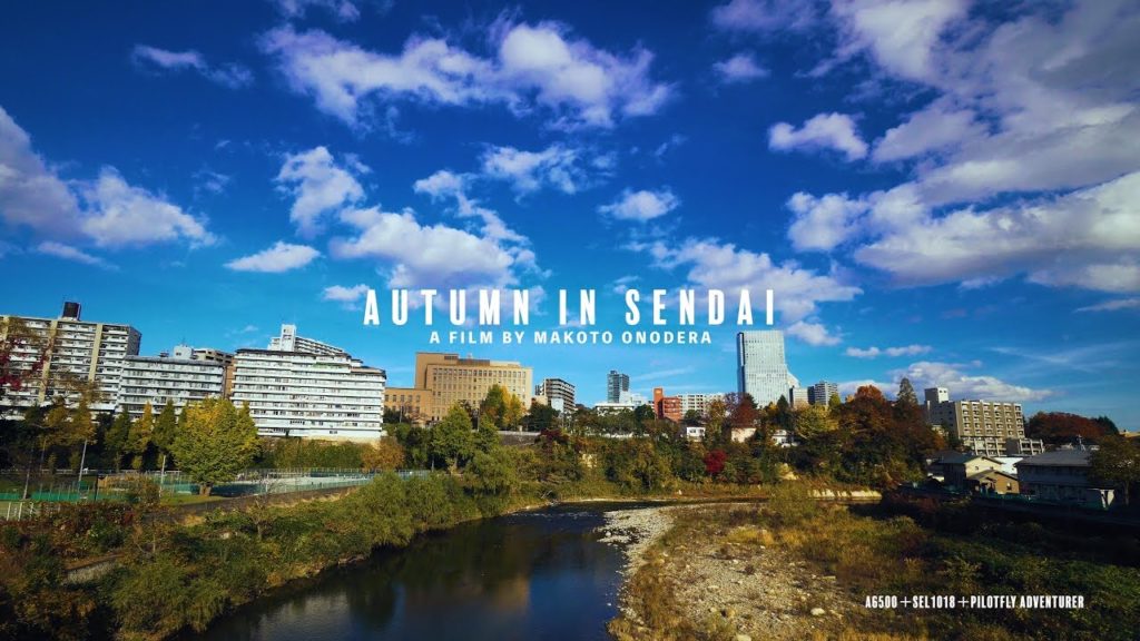 【4K】JAPAN Tohoku Miyagi Sendai / AUTUMN IN SENDAI 秋の仙台 【Ultra HD】 【4K】JAPAN Tohoku Miyagi Sendai / AUTUMN IN SENDAI 秋の仙台 【Ultra HD】