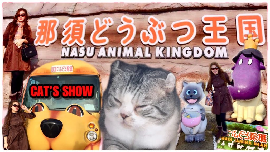 THE AMAZING CAT SHOW 🐈2020 [EXPERIENCED]  [NASU ANIMAL KINGDOM JAPAN] [EXPLORE JAPAN]