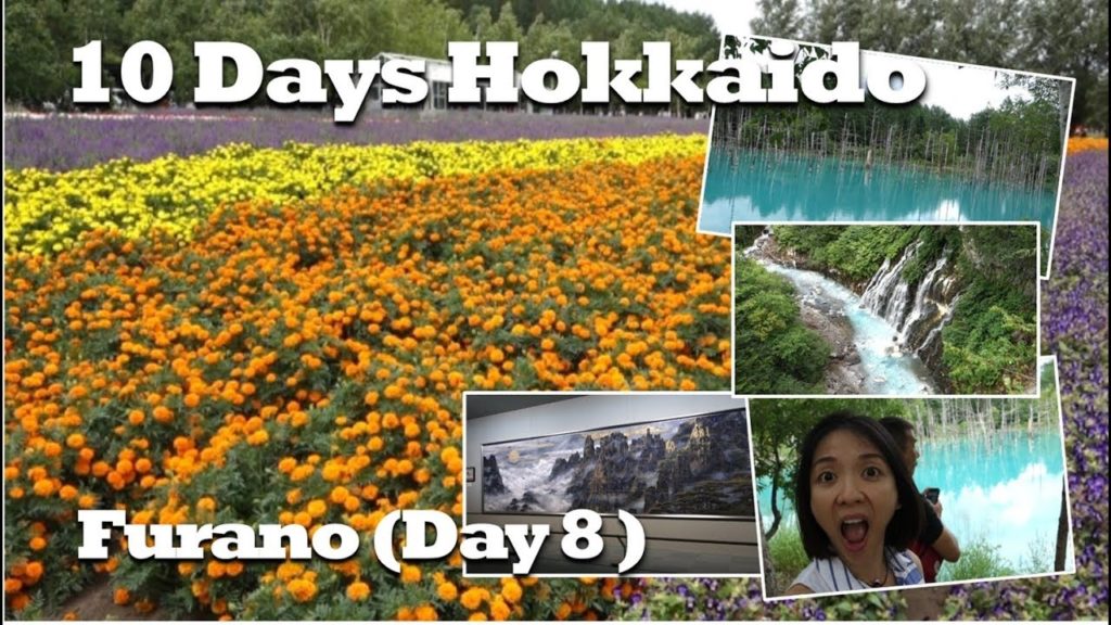 10 Days in Hokkaido | Furano | Day 8 | Kat L